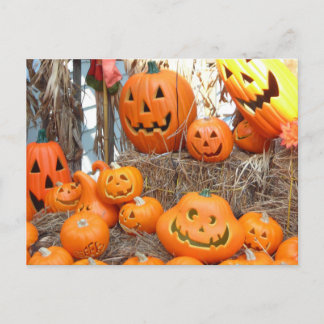 Cartão Postal Pumpkin halloween jack ou lanterna - abóboras lara
