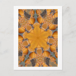 Cartão Postal Pumpkin Kaleidoscópio