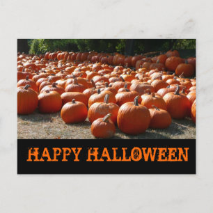 Cartão Postal Pumpkin Patch Happy Halloween