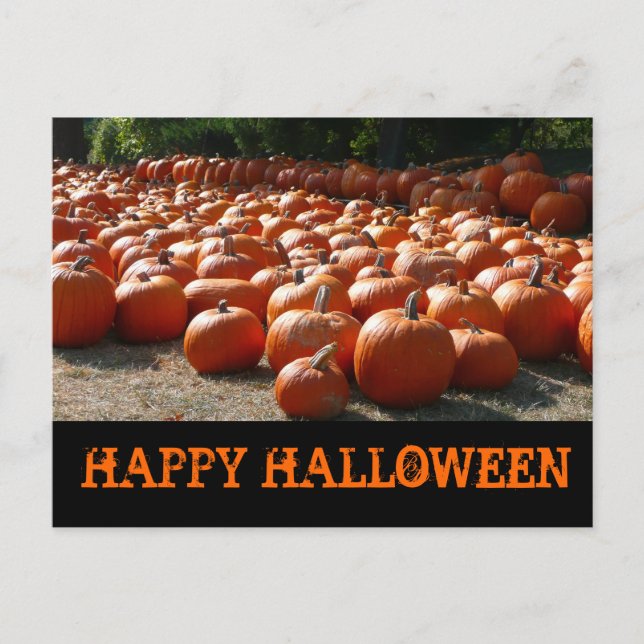 Cartão Postal Pumpkin Patch Happy Halloween (Frente)