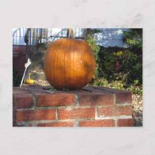 Cartão Postal Pumpkin Pilar