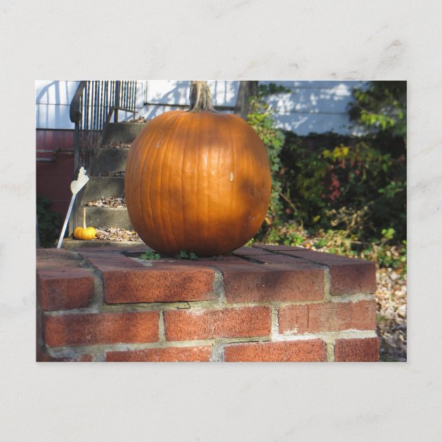 Cartão Postal Pumpkin Pilar (Frente)