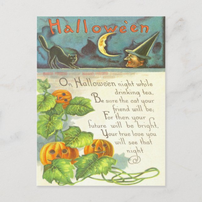 Cartão Postal Pumpkin Vines Jack O Lantern Witch Black Cat (Frente)
