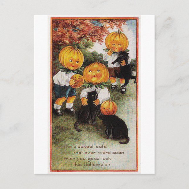 Cartão Postal Pumpkins e Gatos Vintage Halloween (Frente)