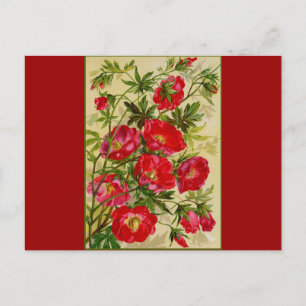 Cartão Postal Punhado de Flores Vermelhas