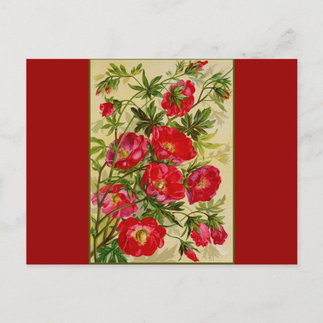 Cartão Postal Punhado de Flores Vermelhas (Frente)