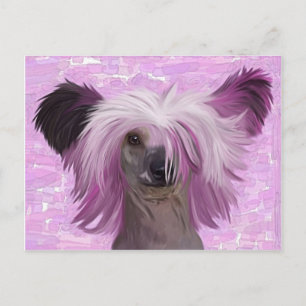 Cartão Postal Punky2