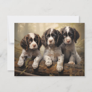 Cartão Postal Puppp Spaniel inglês springer