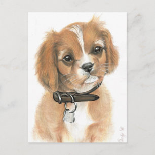 Cartão Postal Puppy