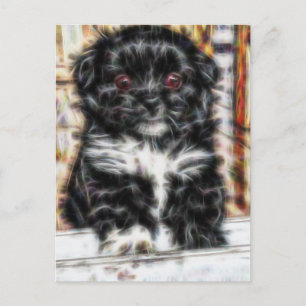 Cartão Postal Puppy cão-da-pia-pantanosa
