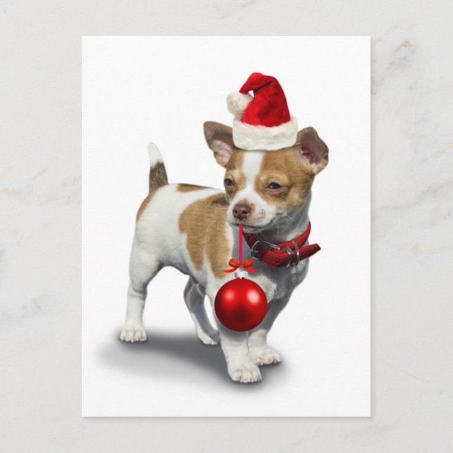 Cartão Postal Puppy com chapéu de natal e Ball (Frente)