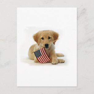 Cartão Postal Puppy e sinalizador do ouro Retriever