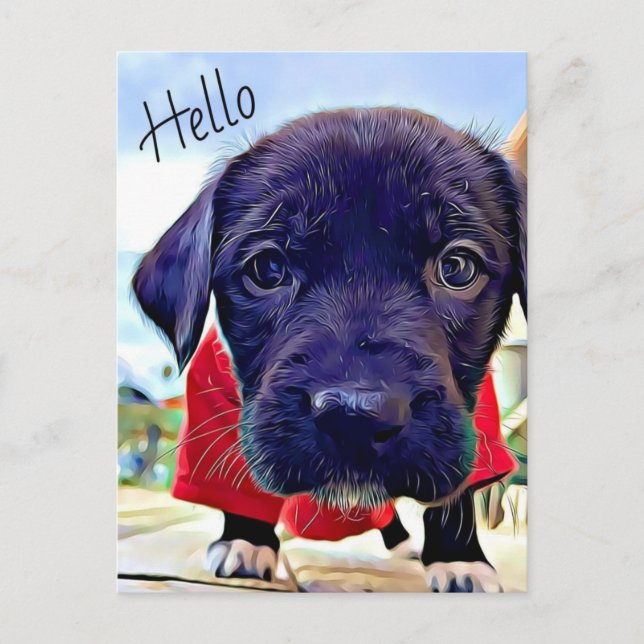 Cartão Postal Puppy Hello (Frente)