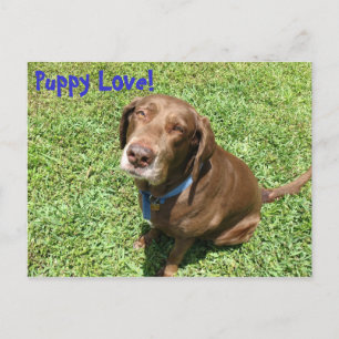 Cartão Postal Puppy Love!
