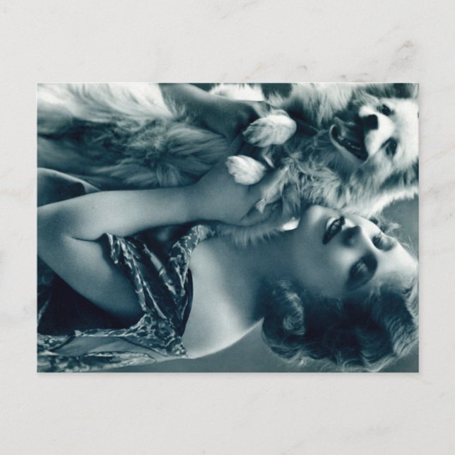 Cartão Postal Puppy Love (Frente)