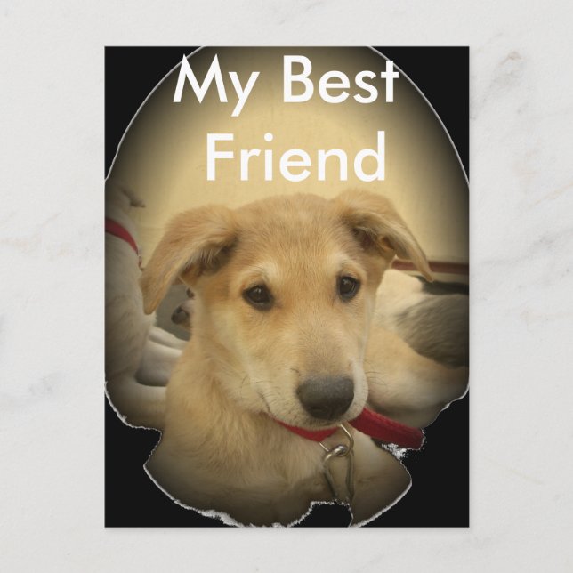 Cartão Postal Puppy Love: Melhor Amigo do Homem (Frente)
