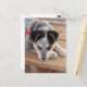 Cartão Postal Puppy Mishead (Frente/Verso In Situ)