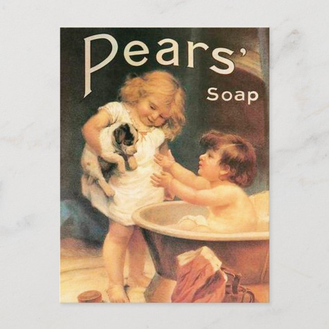 Cartão Postal Puppy Tomando Um Banho Vintage Antigamente (Frente)