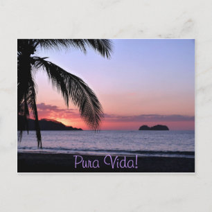 Cartão Postal Pura Vida!