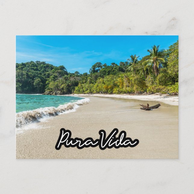 Cartão Postal Pura Vida Costa Rica Beach Souvenir Postcard (Frente)