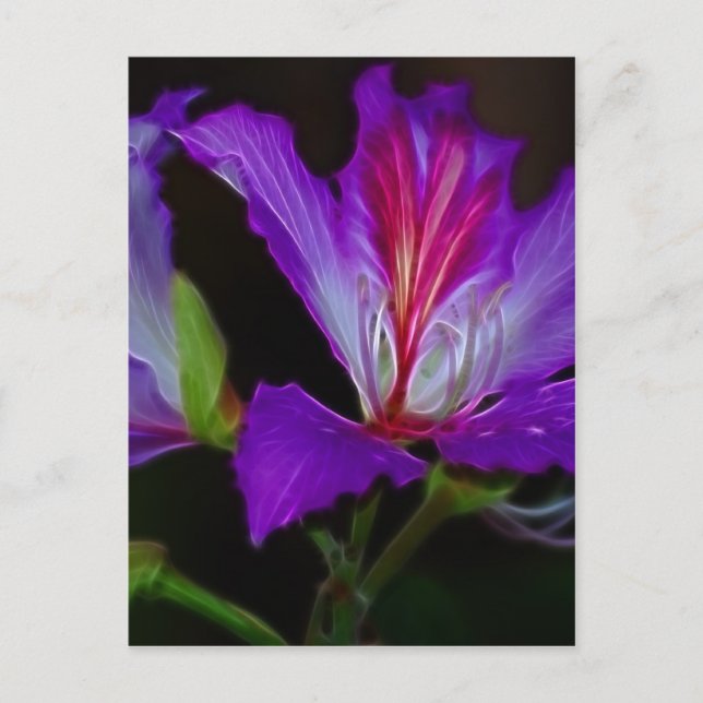 Cartão Postal Pureza (Frente)