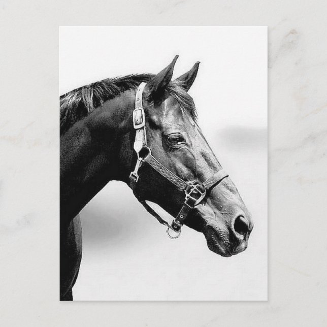 Cartão Postal puro (Frente)