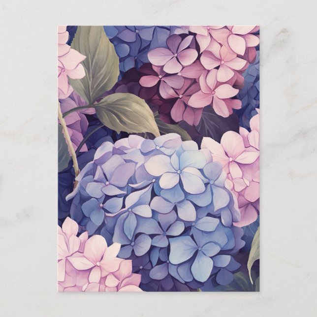 Cartão Postal purple and pink hydrangea flower heads (Frente)