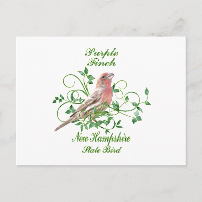 Cartão Postal Purple Finch New Hampshire State Bird (Frente)