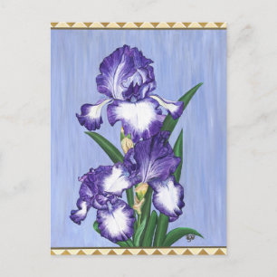 Cartão postal Purple Iris