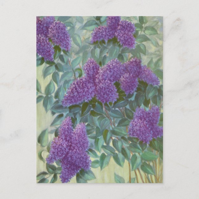 Cartão Postal Purple Lilac, por Cargill, 1937 (Frente)