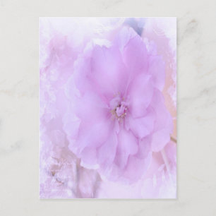 Cartão Postal Purple Pansy