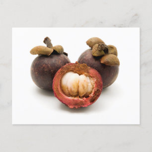 Cartão Postal Púrpura Mangosteen