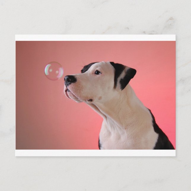 Cartão Postal Puta curiosa (Frente)