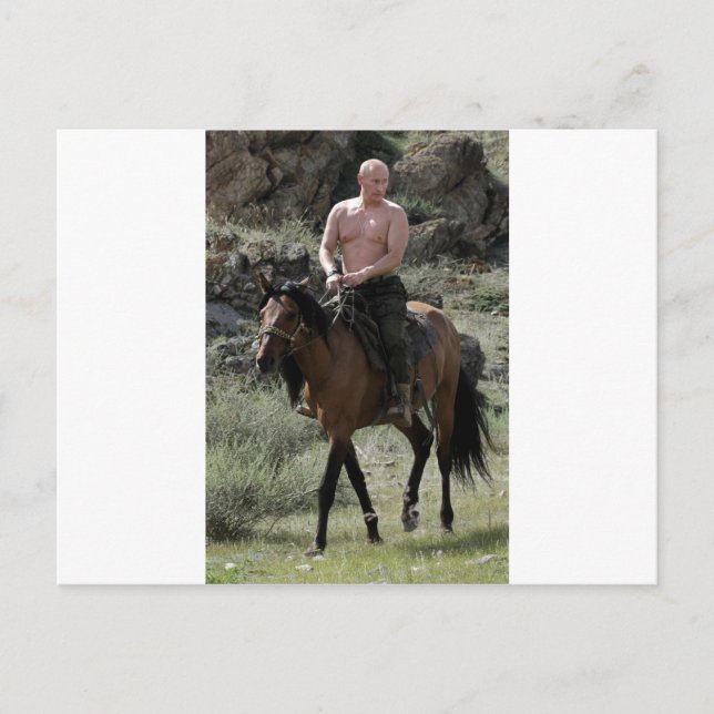 Cartão Postal Putin sem camisa corre um cavalo (Frente)