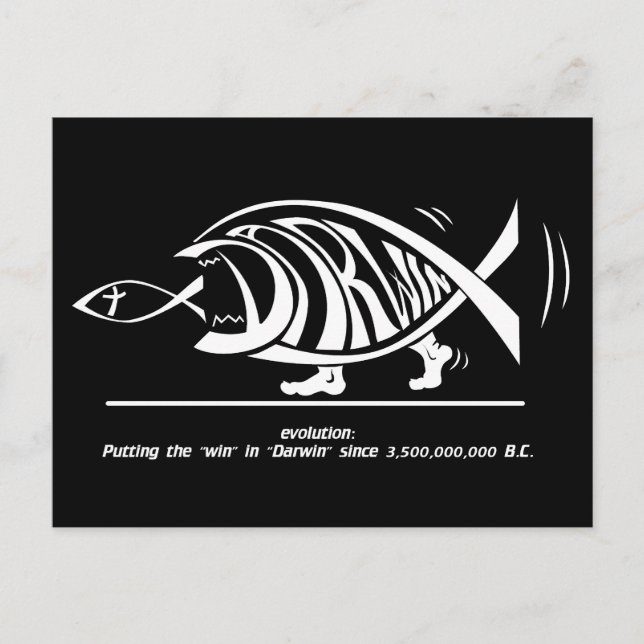 Cartão Postal Putting the Win in in Darwin (por sethness@deviant (Frente)