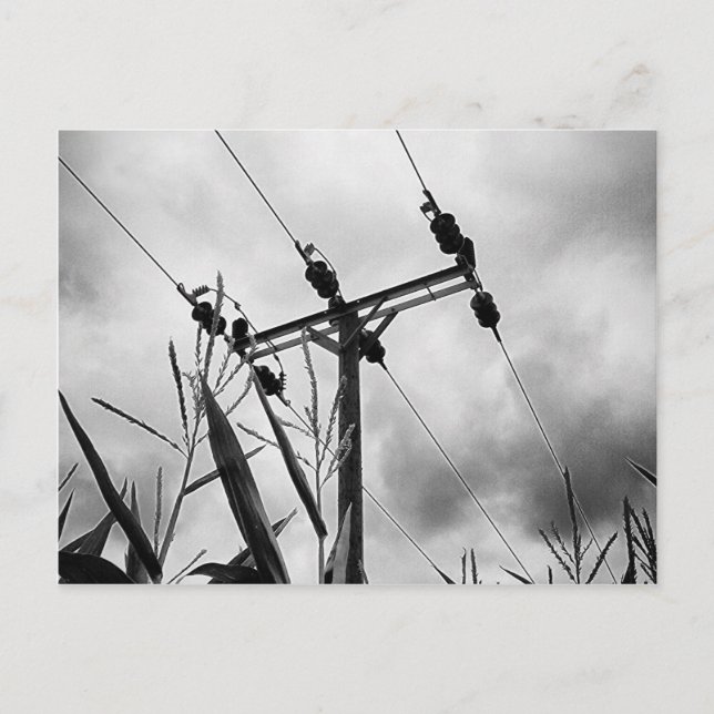 Cartão Postal Pylon preto e branco (Frente)