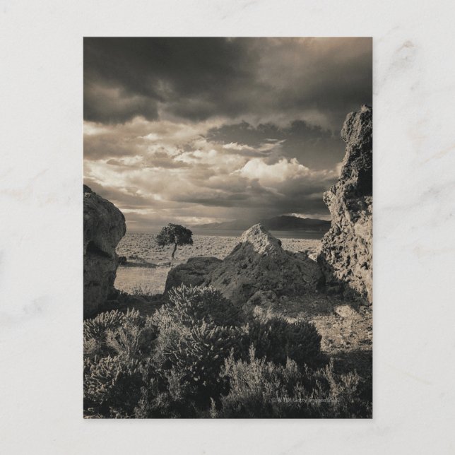 Cartão Postal Pyramid Lake, Nevada 2 (Frente)