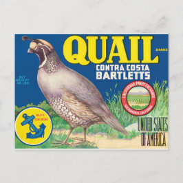 Cartão Postal Quail Contra Costa Bartletts Sacramento Califórnia