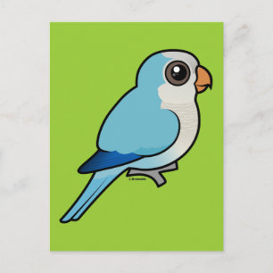 Cartão Postal Quaker Azul