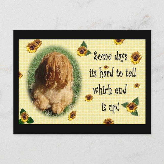 Cartão Postal Qual é o fim! (Frente)