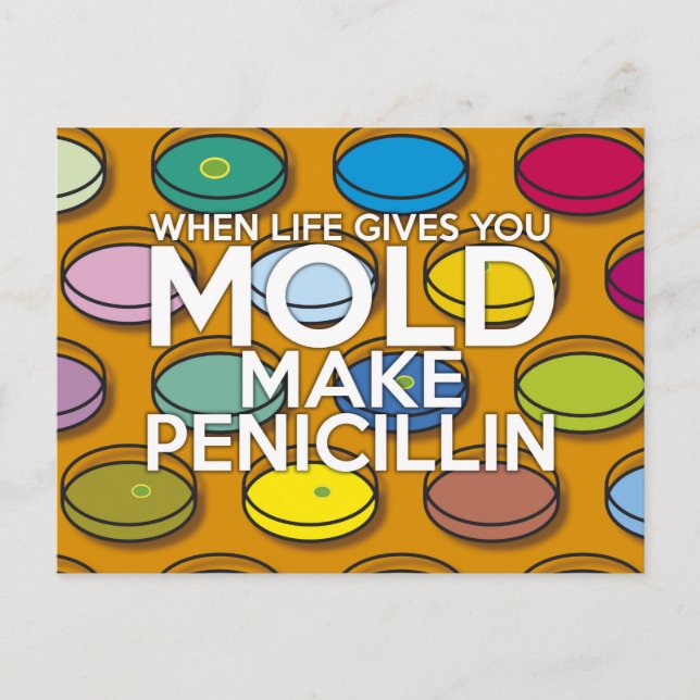 CARTÃO POSTAL QUANDO A VIDA LHE DÁ MOLDE (Frente)