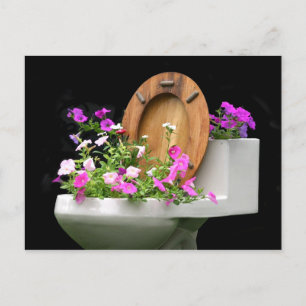 Cartão Postal Quando a vida te dá cocô