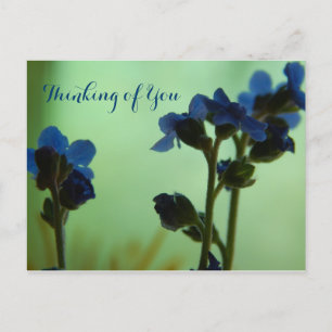 Cartão Postal Quando se sentir azul...