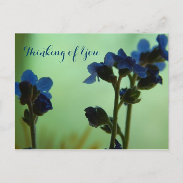 Cartão Postal Quando se sentir azul... (Frente)