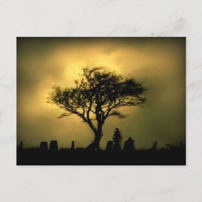 Cartão Postal Quase Sunset (Frente)