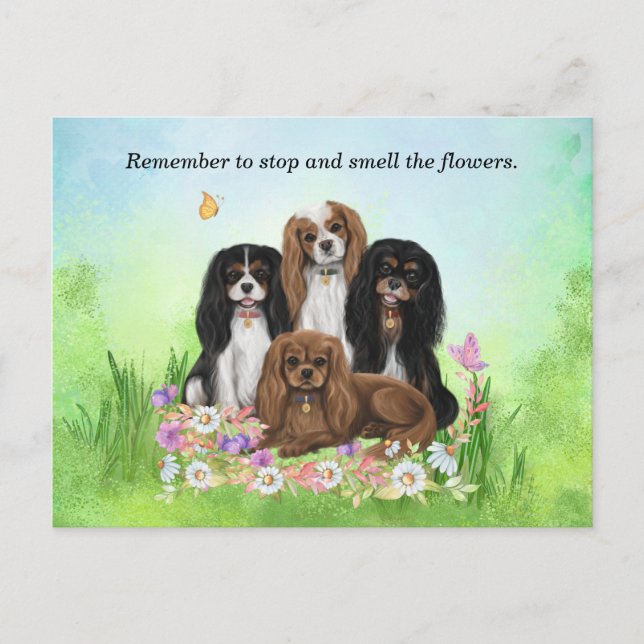 Cartão Postal Quatro Cavaleiros Rei Charles Spaniels em Flores (Frente)