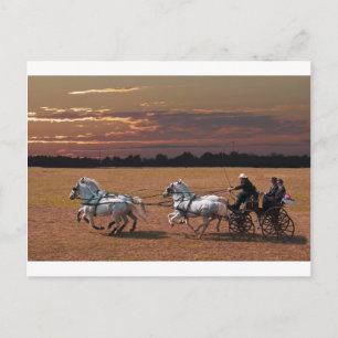 Cartão Postal quatro em mãos