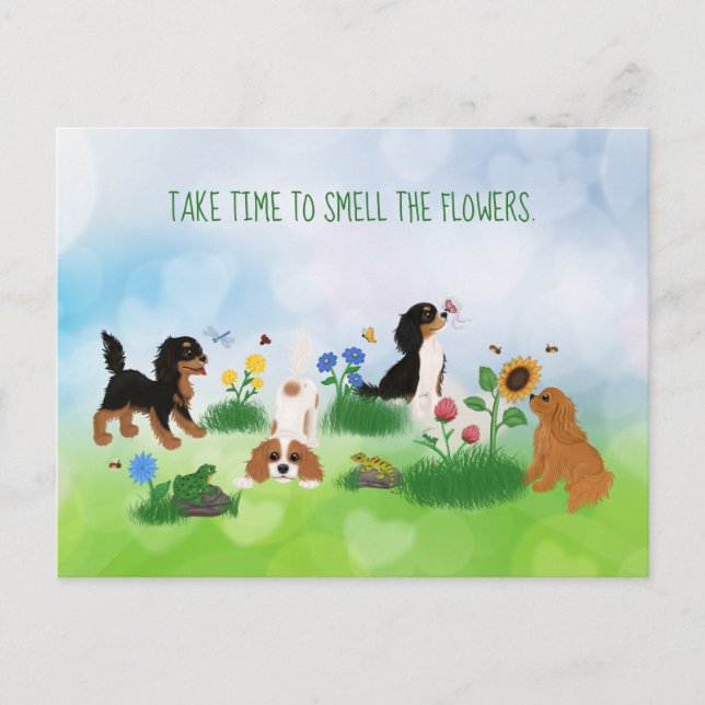 Cartão Postal Quatro espanhóis cavaleiros em campo de flores (Frente)