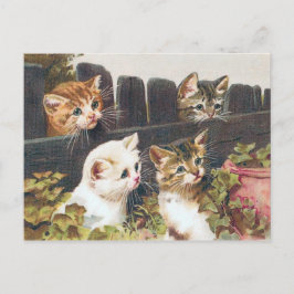 Cartão Postal "Quatro Gatinhos" Vintage