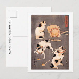 Cartão Postal Quatro Gatos em Diferentes Posturas (1798-1861)
